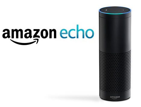 Voice-Activated Amazon Echo & ERP Software?
